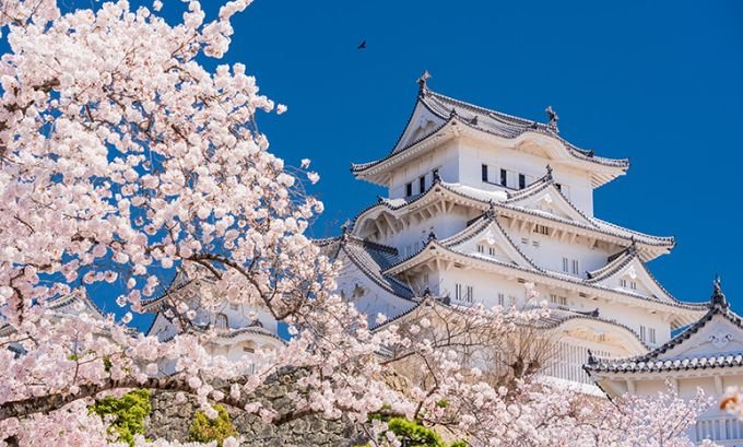 best time to visit japan for cherry blossoms