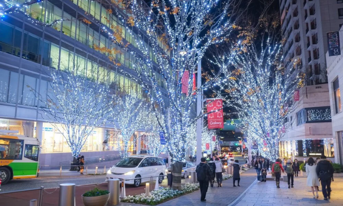 Japan's Spectacular Light Displays